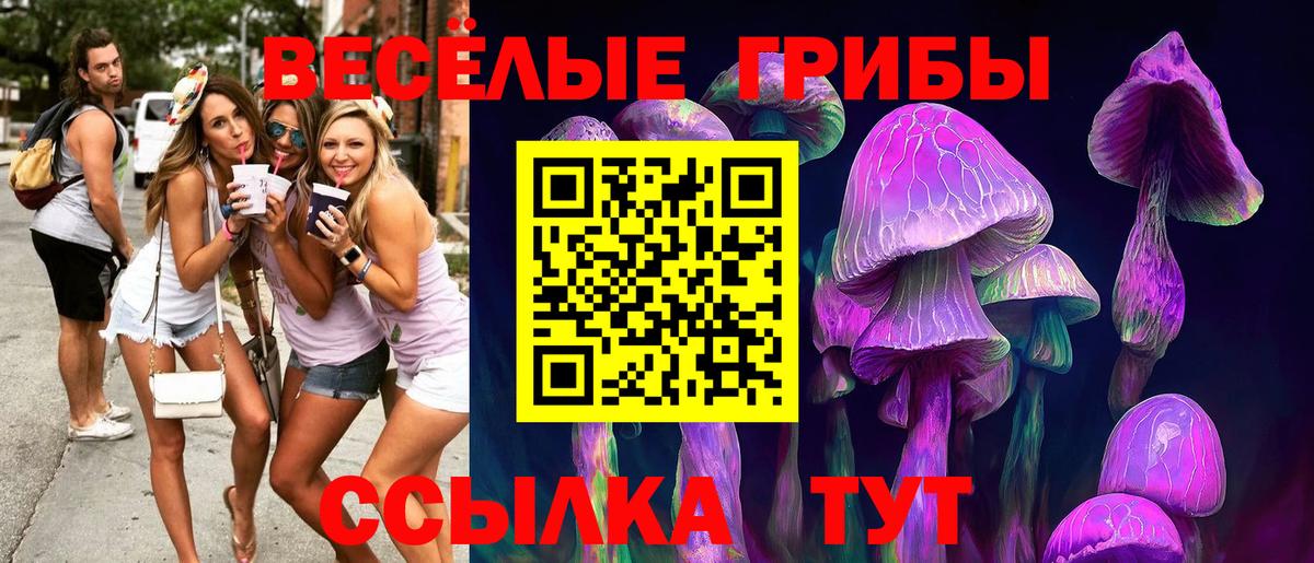 Галлюциногенные грибы мицелий Нефтекамск