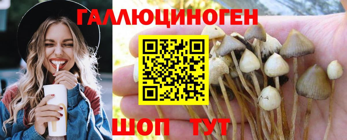 Галлюциногенные грибы MAGIC MUSHROOMS  Вход с VPN  Галлюциногенные грибы Psilocybe  Нефтекамск 